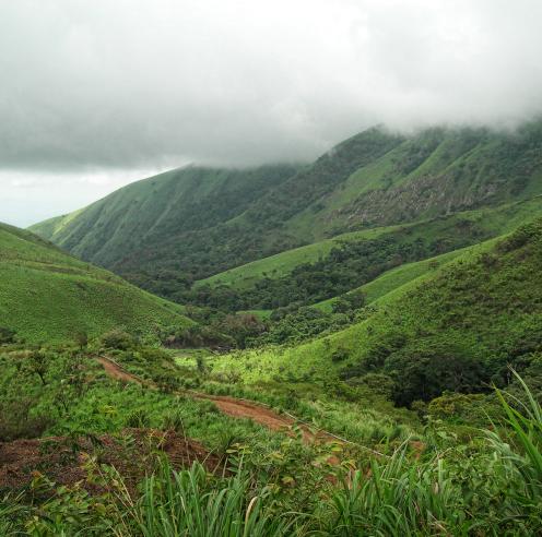 Mount Nimba